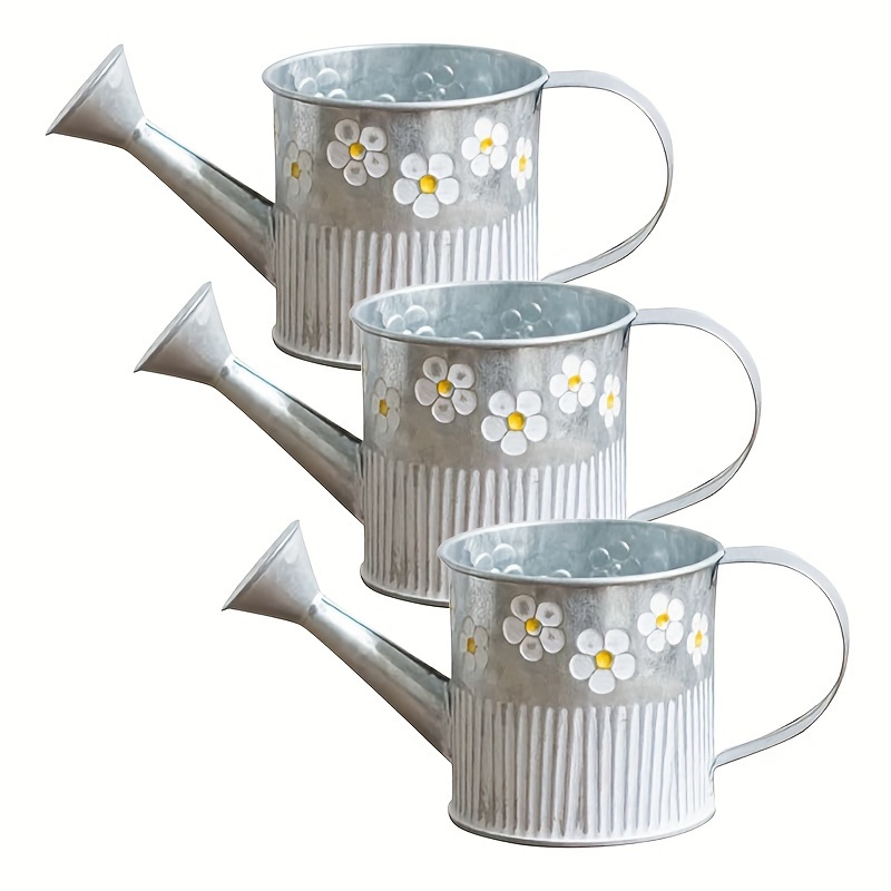 Pilea Peperomioides - Vintage Farmhouse Galvanized Watering Cans: 3