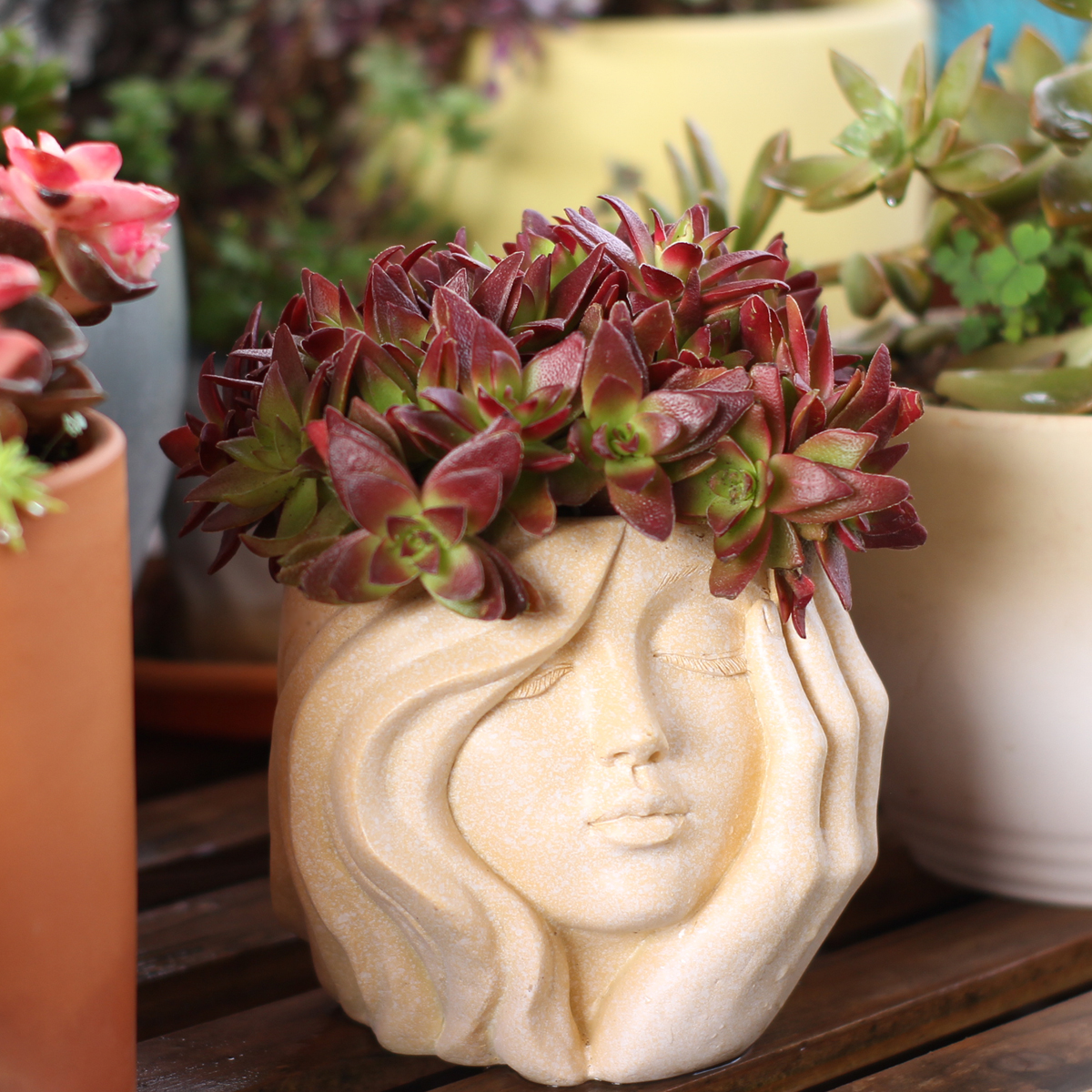 Pilea Peperomioides - Face-Shaped Flower Pot Suitable for Home