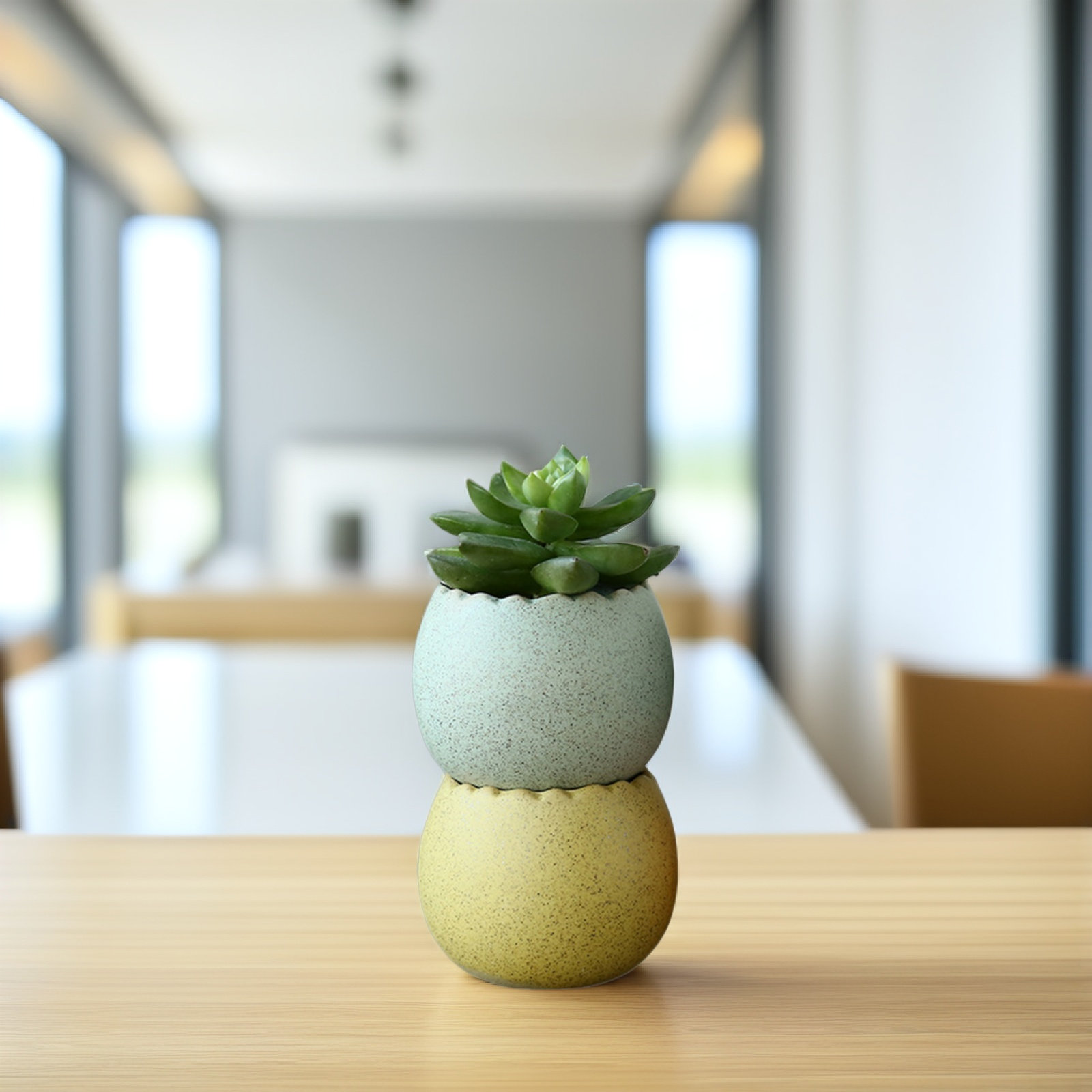 6Pcs Stylish Ceramic Mini Pots - Aloe Vera Pot のレビューと価格