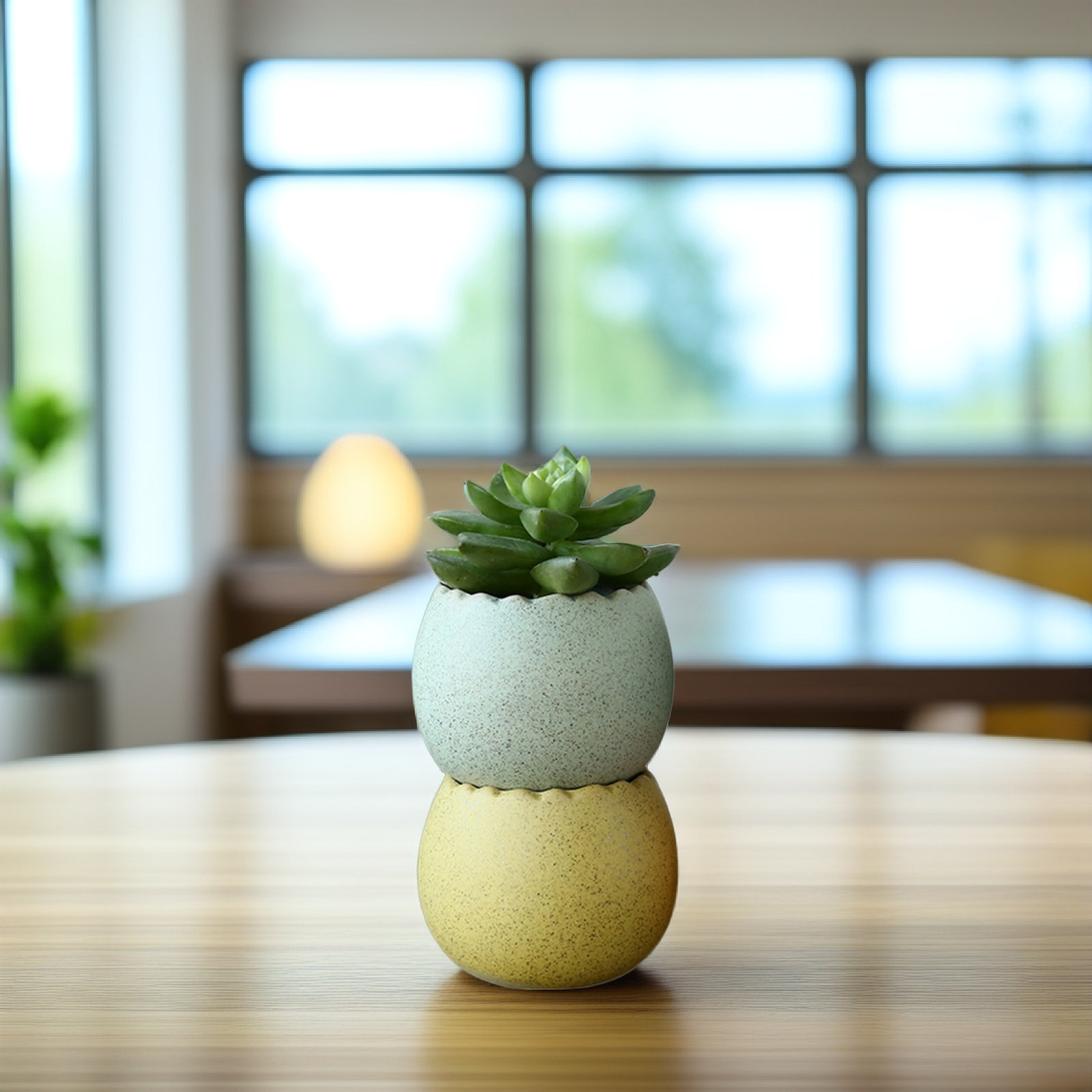 6Pcs Stylish Ceramic Mini Pots - Aloe Vera Pot のレビューと価格