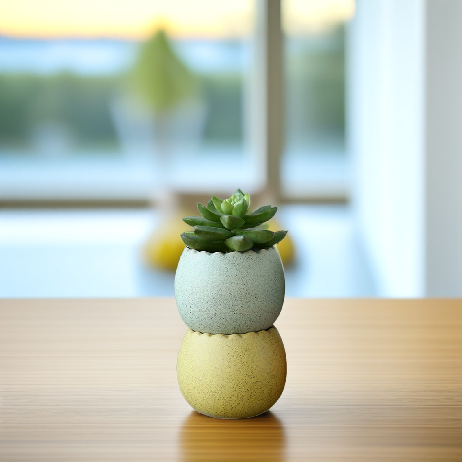 6Pcs Stylish Ceramic Mini Pots - Aloe Vera Pot のレビューと価格