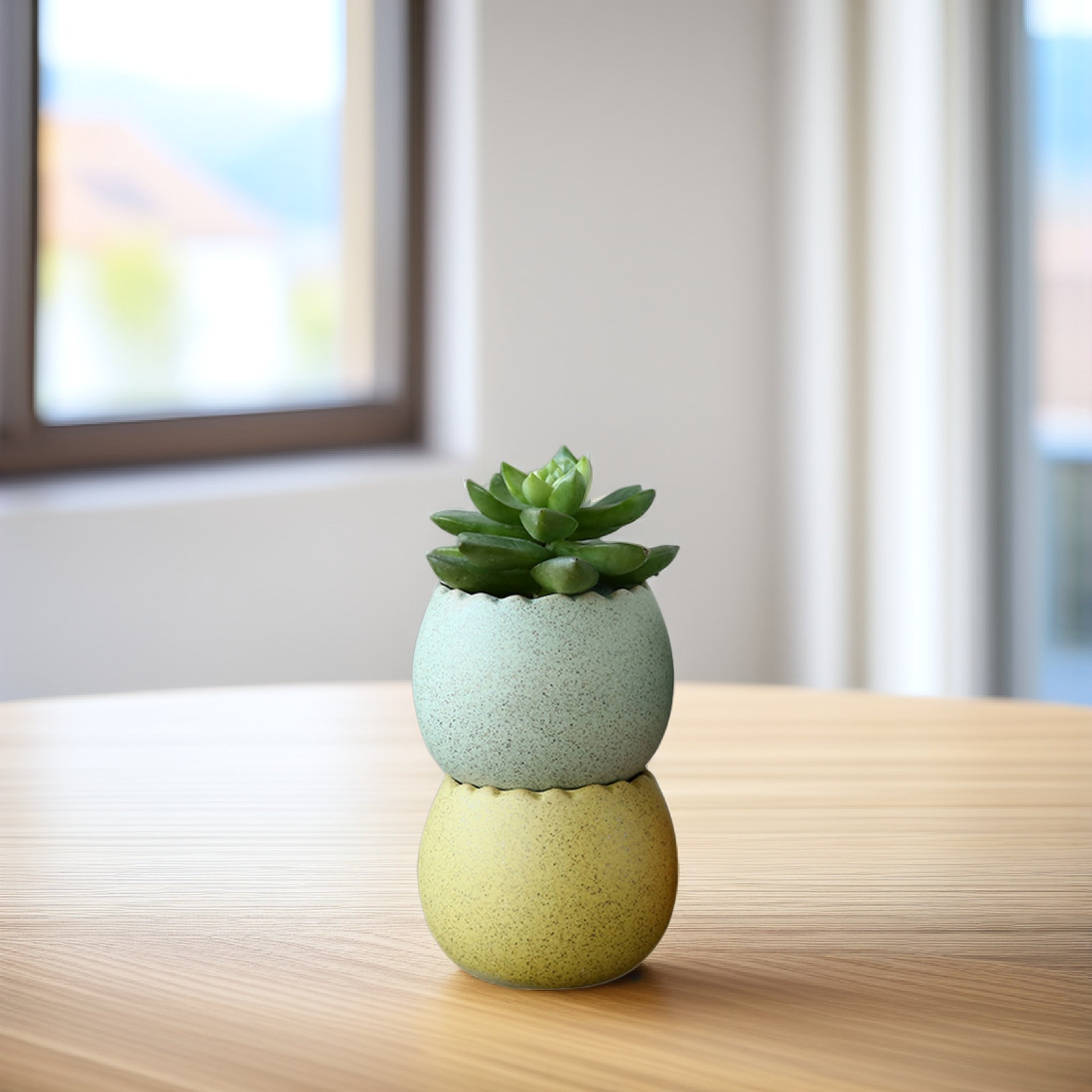 6Pcs Stylish Ceramic Mini Pots - Aloe Vera Pot のレビューと価格
