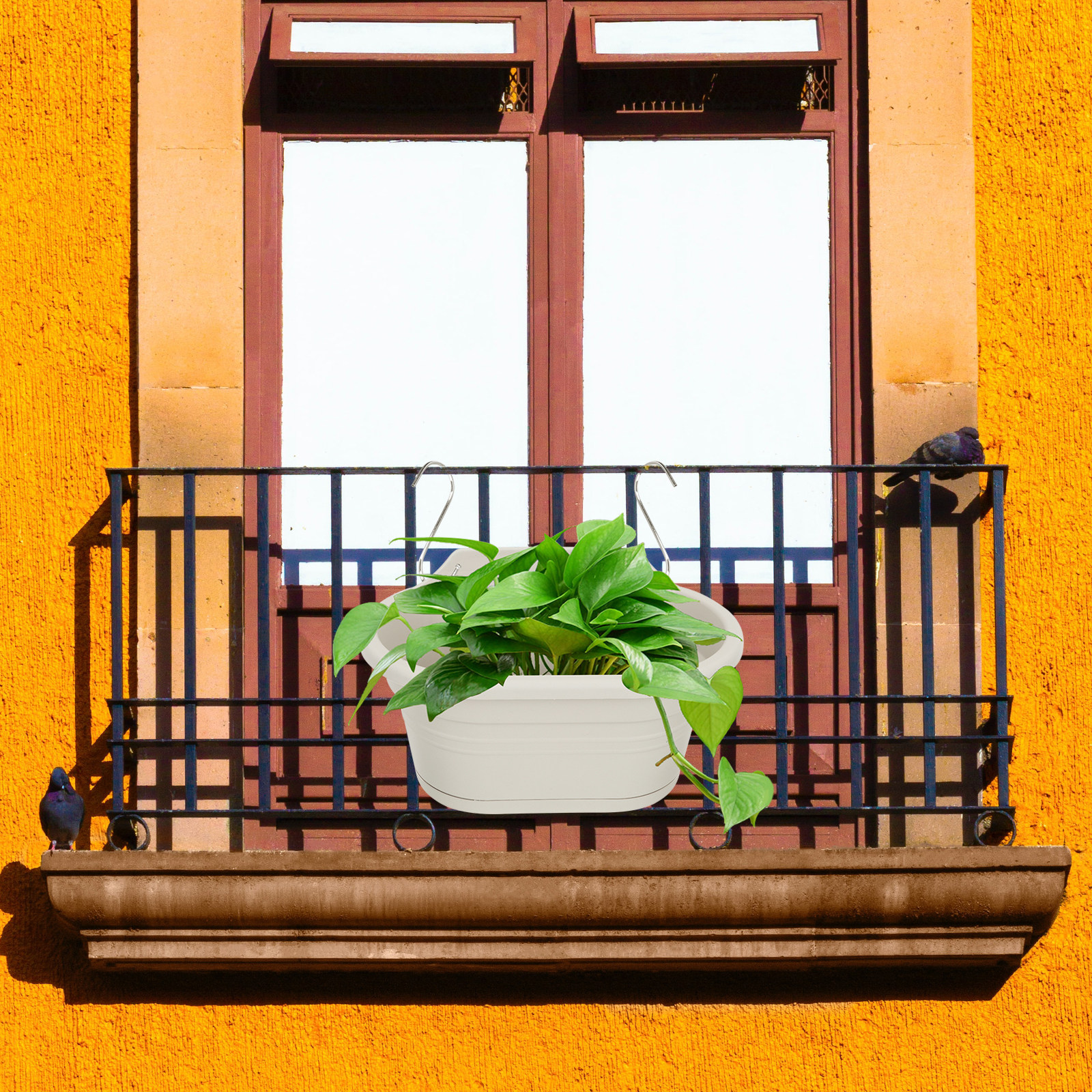 1Set Wall Hanging Flower Pot S - Spider Plant Hanging のレビューと価格