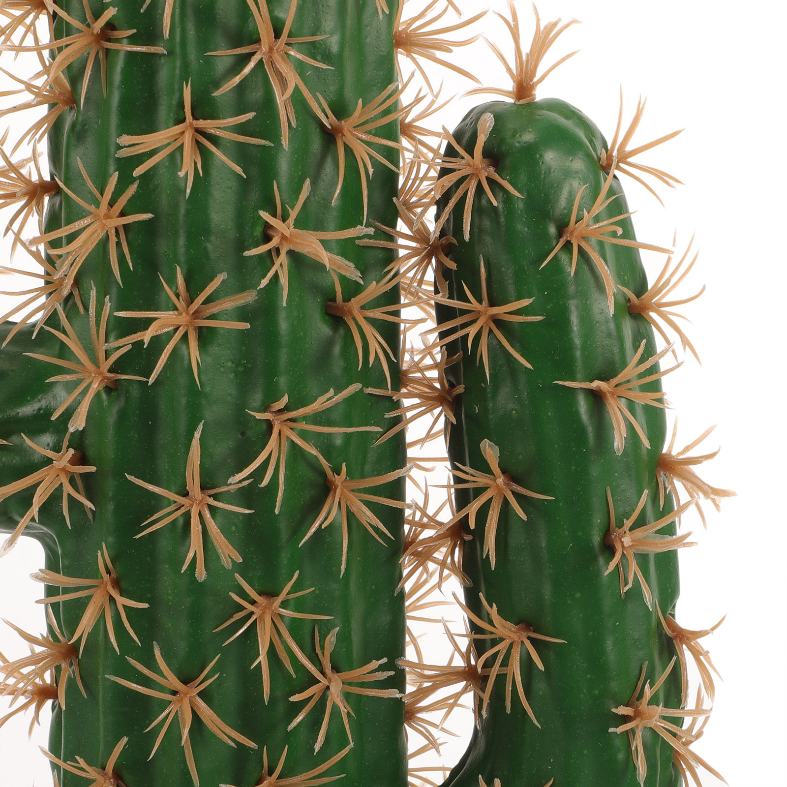 Lifelike Artificial Cactus Pla - Echeveria Succulent のレビューと価格