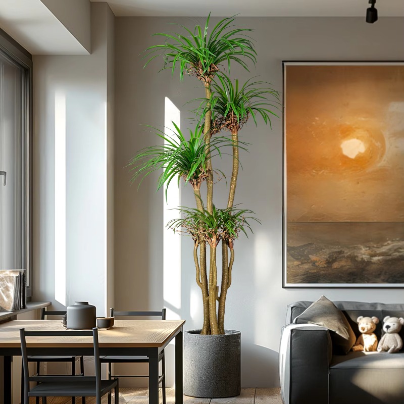Indoor/Outdoor Home Tree Simul - Dracaena Marginata のレビューと価格