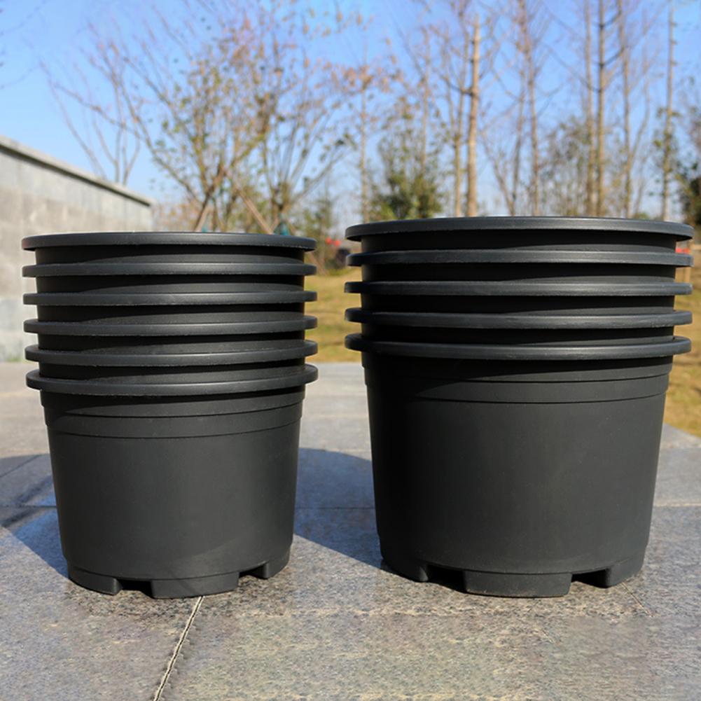 Indoor Plant Pot Black Plastic - Aloe Vera Pot のレビューと価格