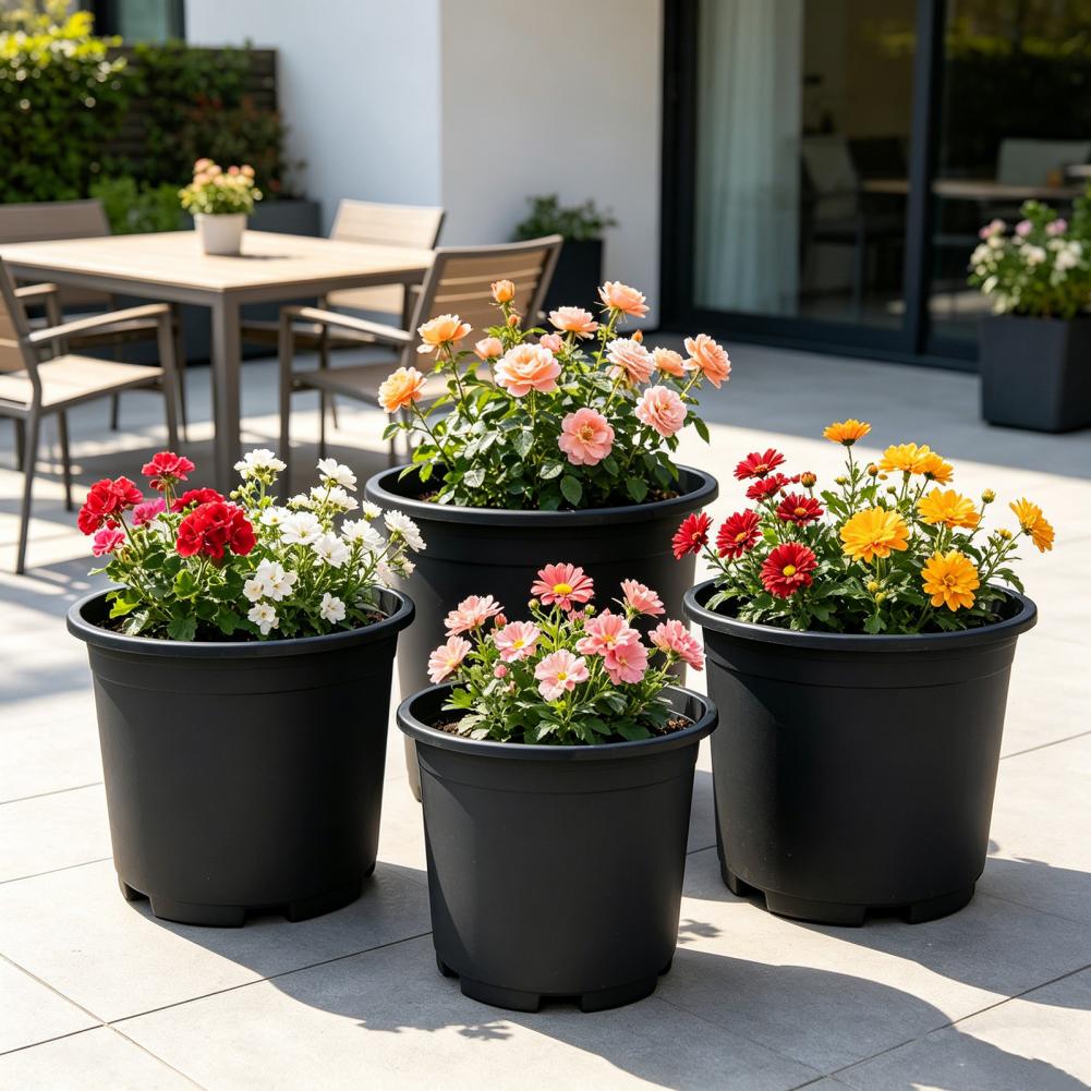 Indoor Plant Pot Black Plastic - Aloe Vera Pot のレビューと価格
