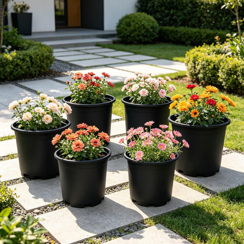 Indoor Plant Pot Black Plastic - Aloe Vera Pot のレビューと価格
