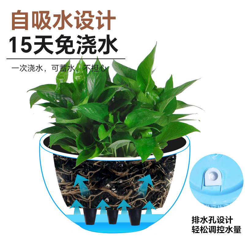 New simple imitation rattan wo - Spider Plant Hanging のレビューと価格