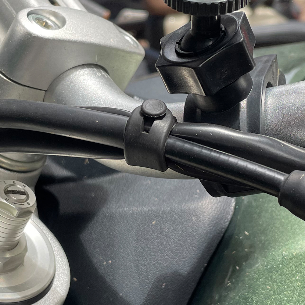 For Ducati Monster Multistrada - Monstera Adansonii のレビューと価格