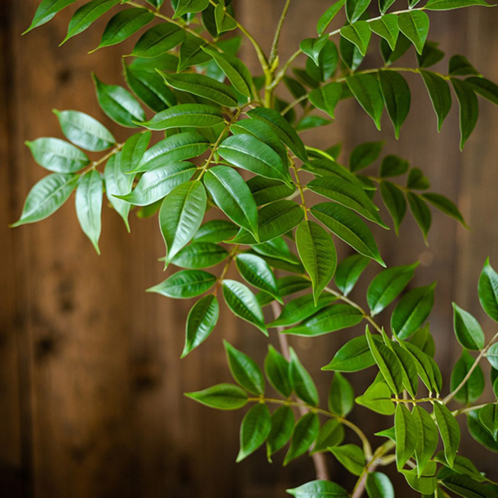 76-140cm Large Artificial Ficu - Ficus Lyrata Tree のレビューと価格