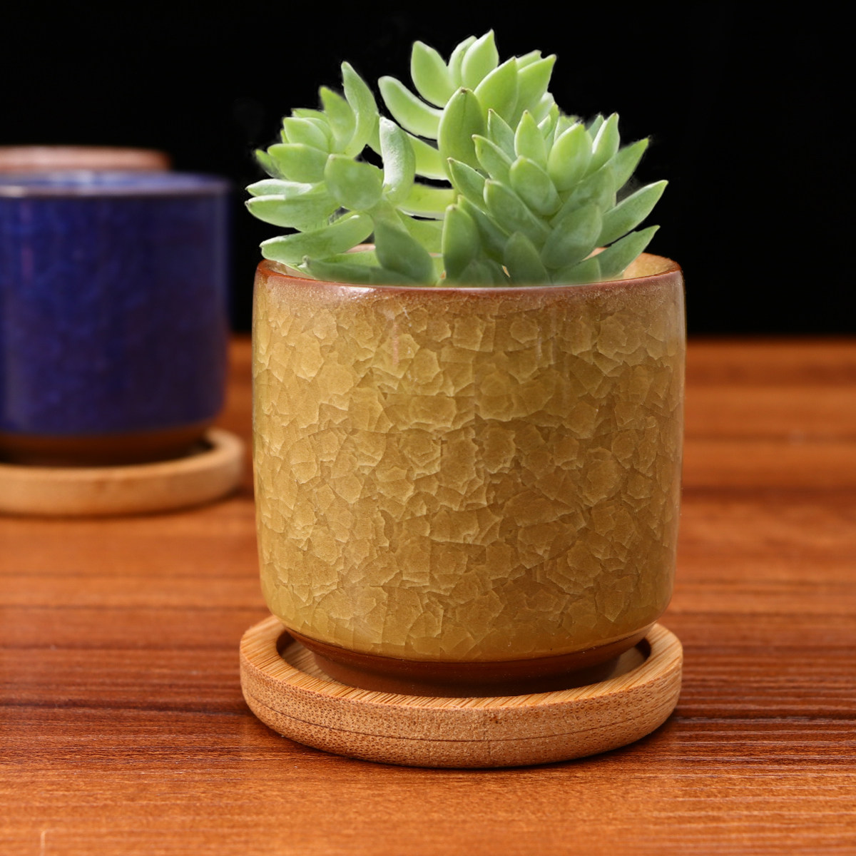 Mini Cracked Glaze Ceramic Pot - Aloe Vera Pot のレビューと価格