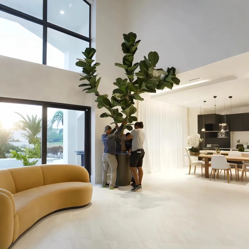 Artificial Plants Indoor Potte - Ficus Lyrata Tree のレビューと価格
