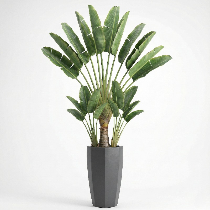 High-Simulation Plastic Fiddle - Ficus Lyrata Tree のレビューと価格