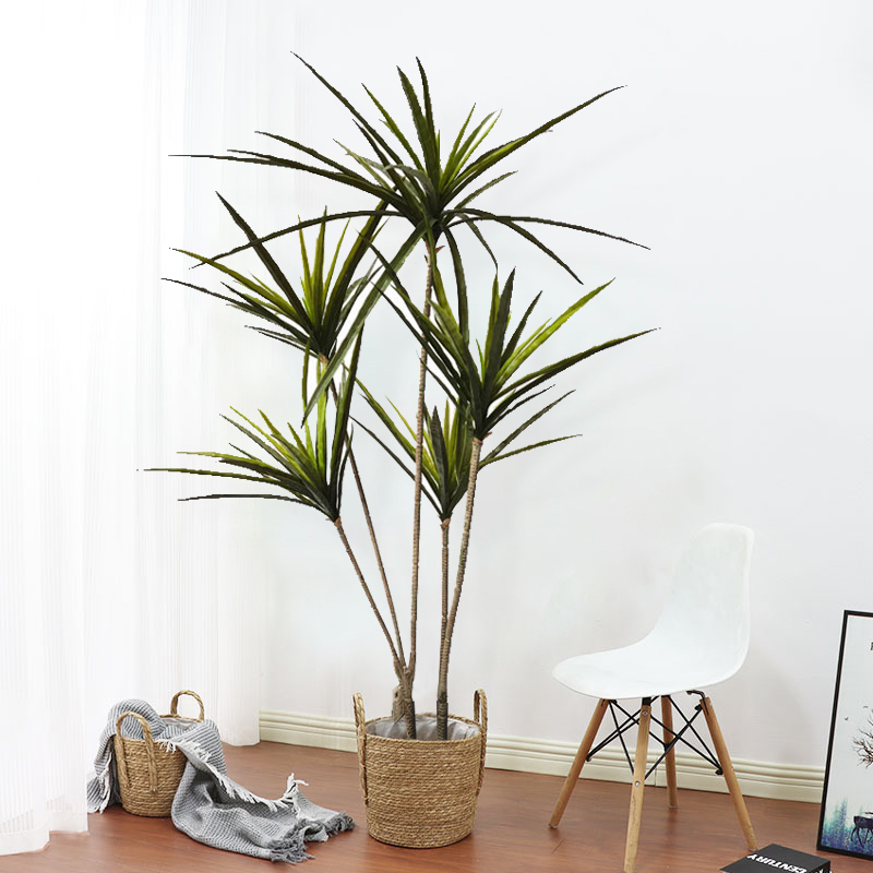 New 90-120cm Artificial Dracae - Dracaena Marginata のレビューと価格