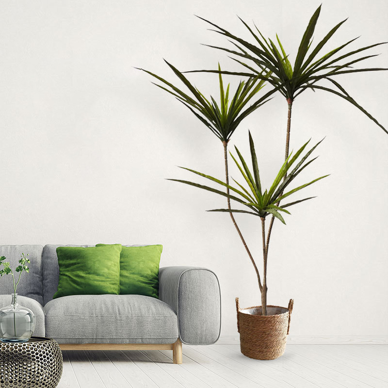New 90-120cm Artificial Dracae - Dracaena Marginata のレビューと価格