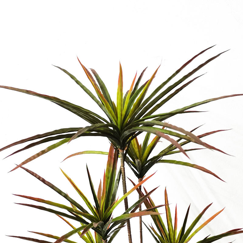 New 90-120cm Artificial Dracae - Dracaena Marginata のレビューと価格