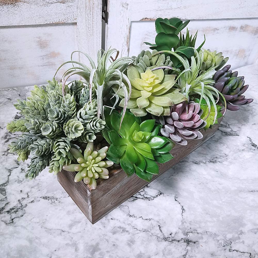 15 Pack Assorted Artificial Su - Echeveria Succulent のレビューと価格