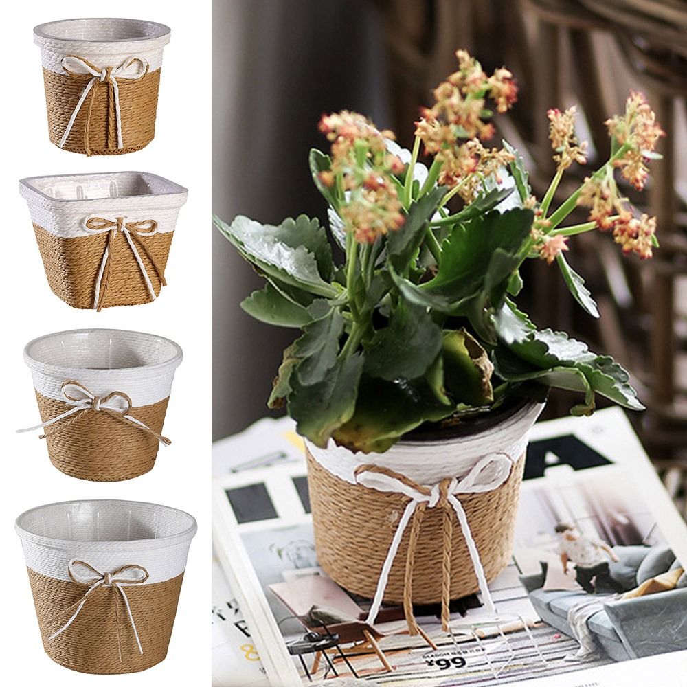 Paper Rope Braided Braided Flo - Pilea Peperomioides のレビューと価格