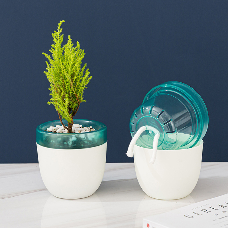 Automatic Water Absorption Laz - Aloe Vera Pot のレビューと価格