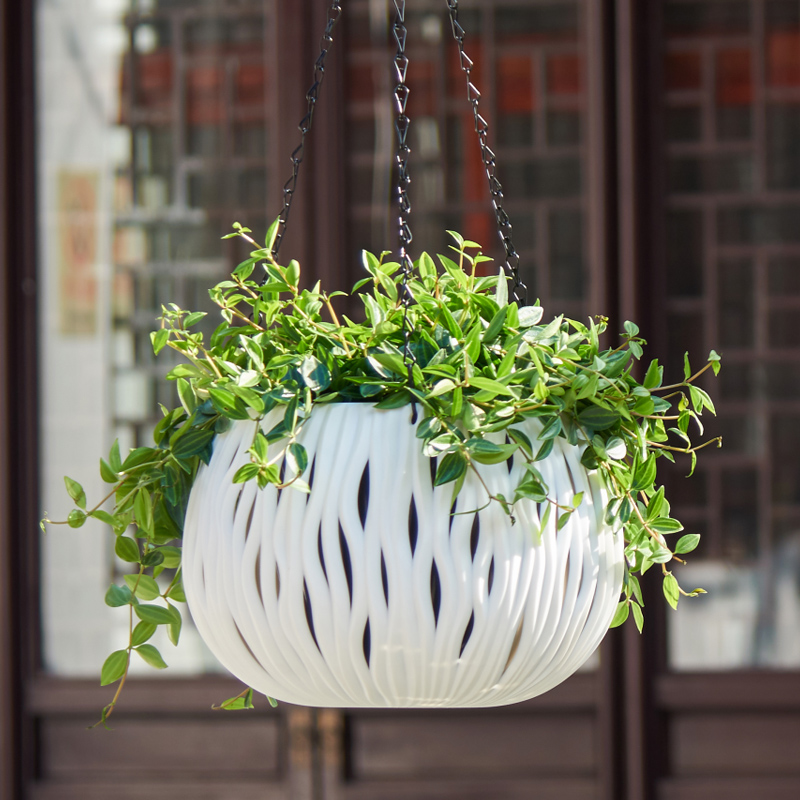 Hanging pot, plastic personali - Spider Plant Hanging のレビューと価格