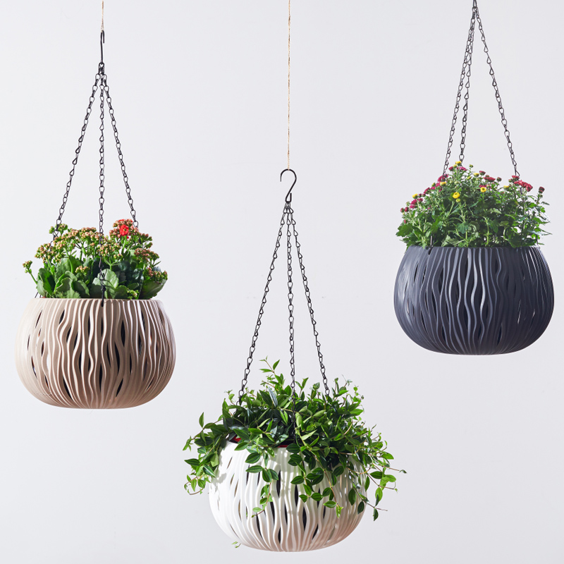 Hanging pot, plastic personali - Spider Plant Hanging のレビューと価格