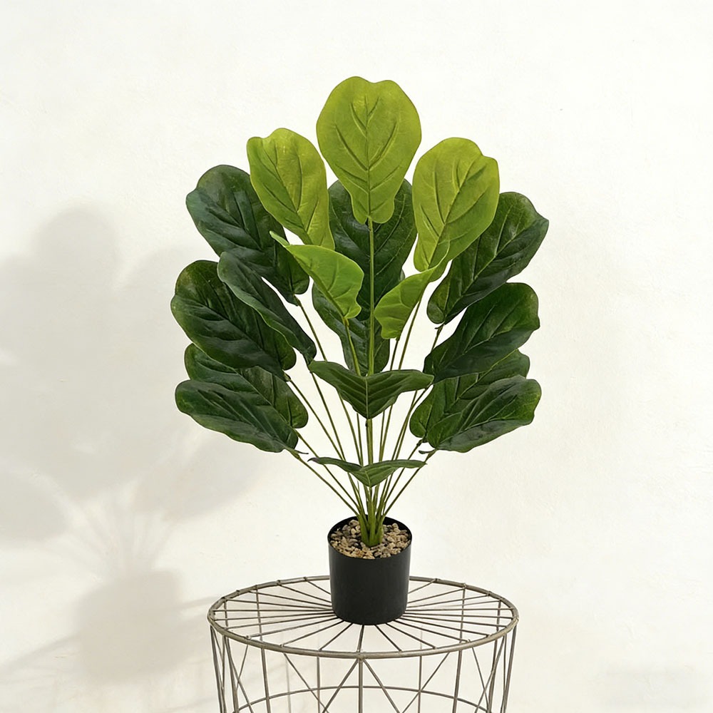 1pc of 75cm Artificial Ficus L - Ficus Lyrata Tree のレビューと価格
