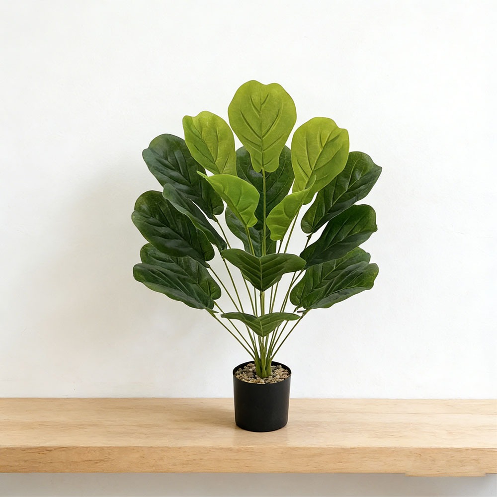 1pc of 75cm Artificial Ficus L - Ficus Lyrata Tree のレビューと価格