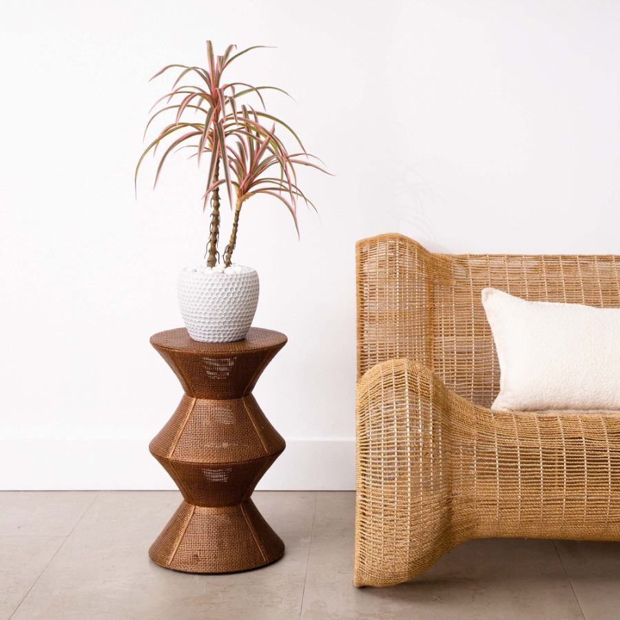 Dracaena Marginata Artificial  - Dracaena Marginata のレビューと価格