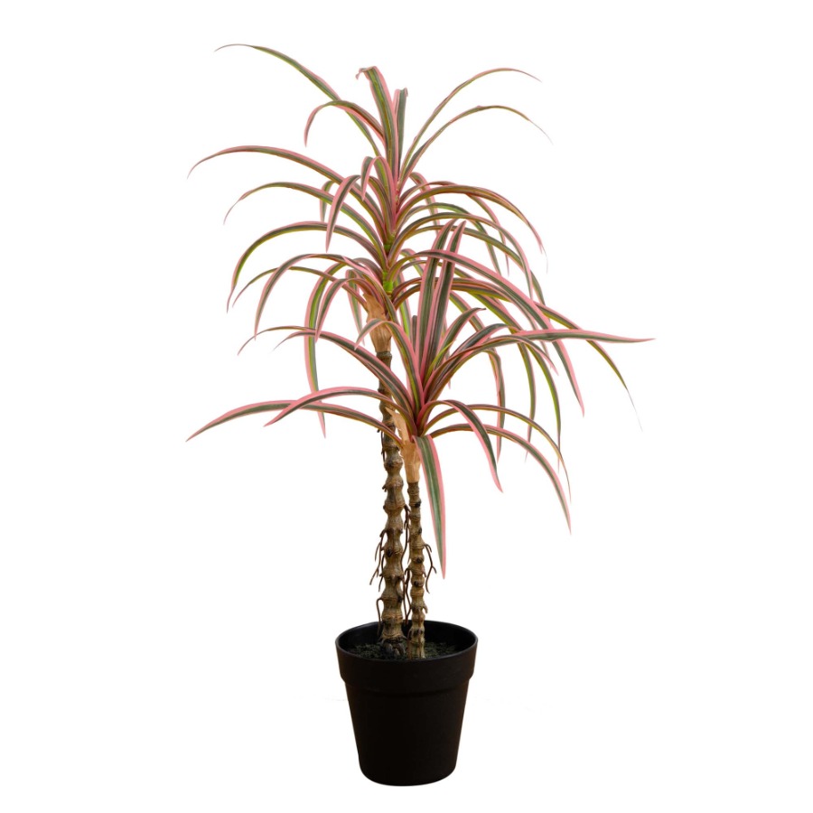 Dracaena Marginata Artificial  - Dracaena Marginata のレビューと価格