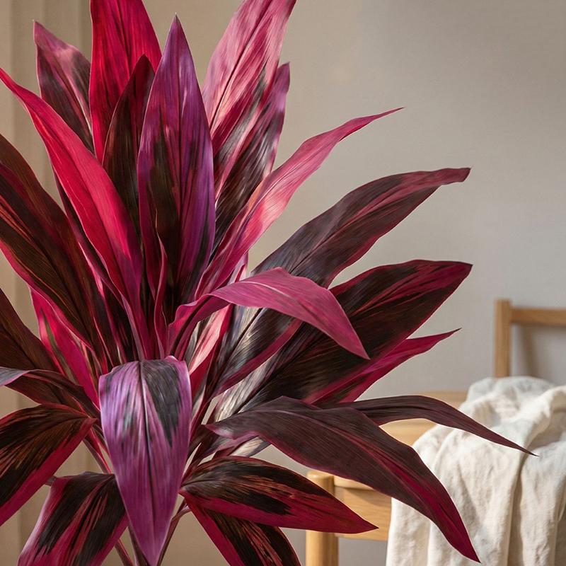 Large Artificial Dracaena Marg - Dracaena Marginata のレビューと価格
