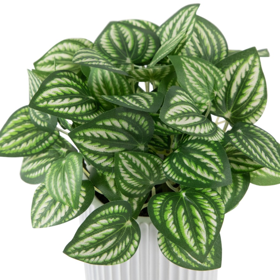 Artificial Watermelon Peperomi - Peperomia Watermelon のレビューと価格