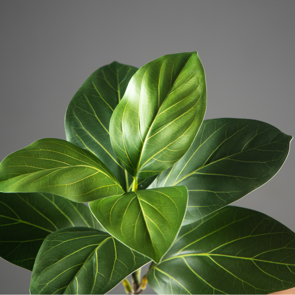 70-130cm Large Artificial Bany - Ficus Lyrata Tree のレビューと価格