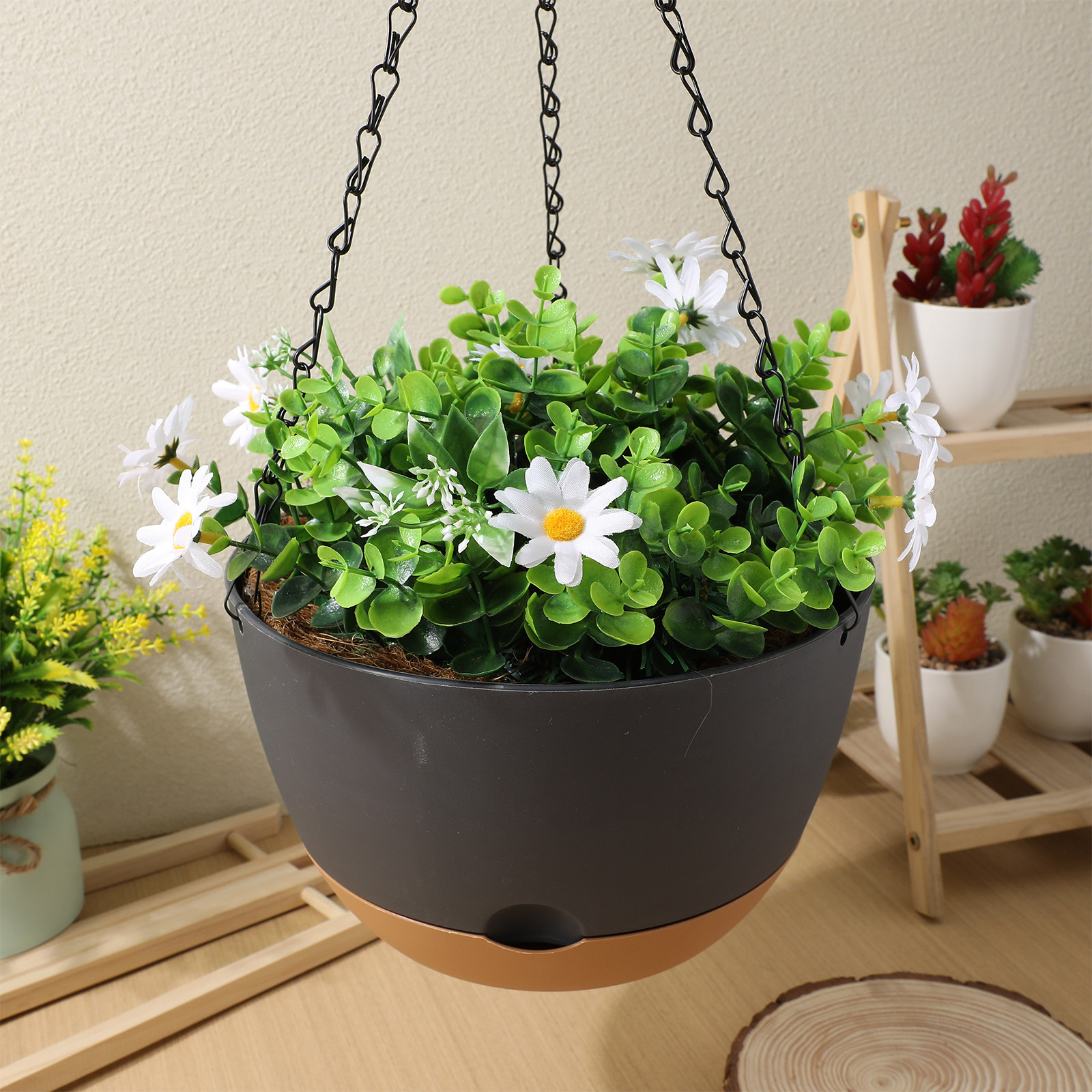 2Set Hanging Planters Heavy Du - Spider Plant Hanging のレビューと価格