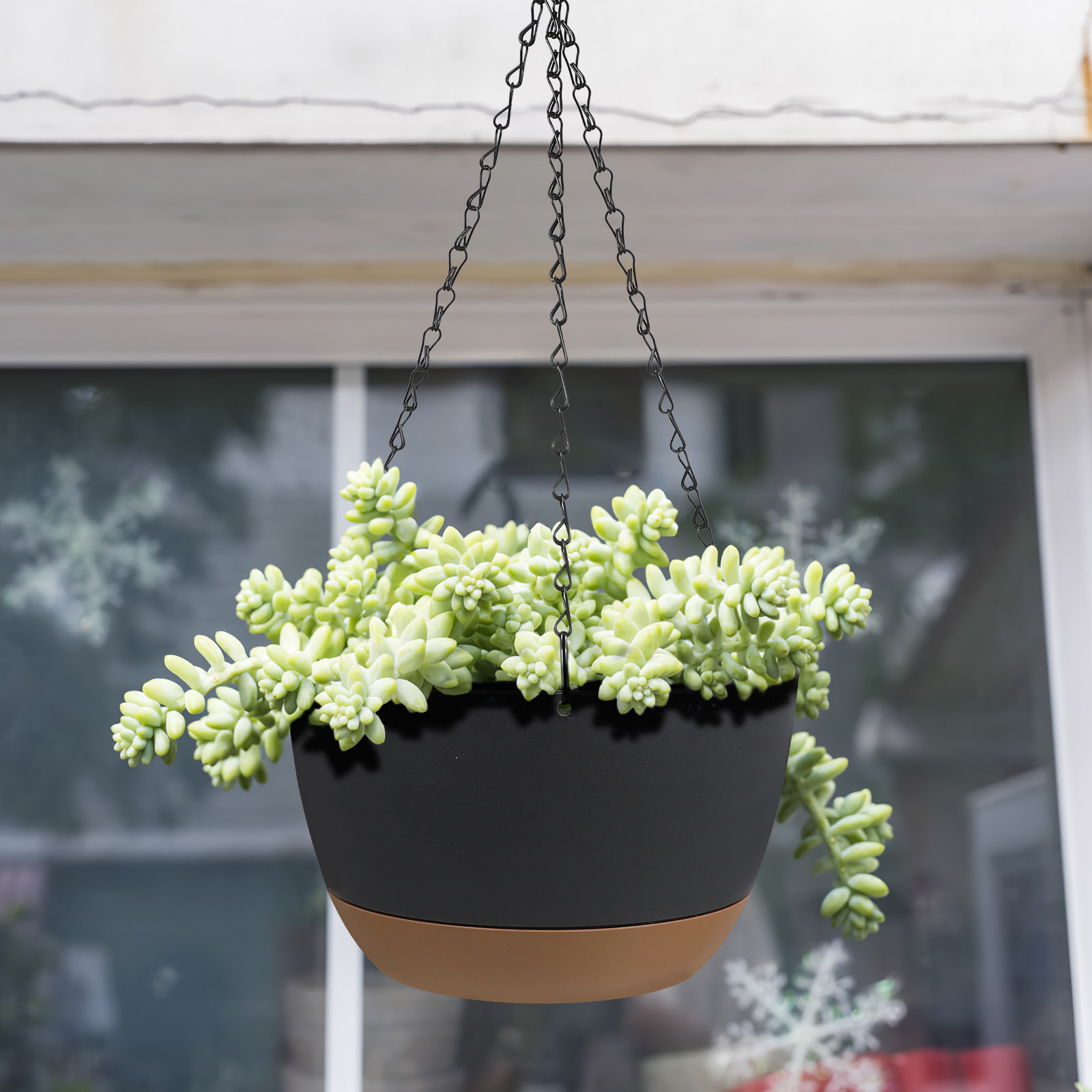 2Set Hanging Planters Heavy Du - Spider Plant Hanging のレビューと価格