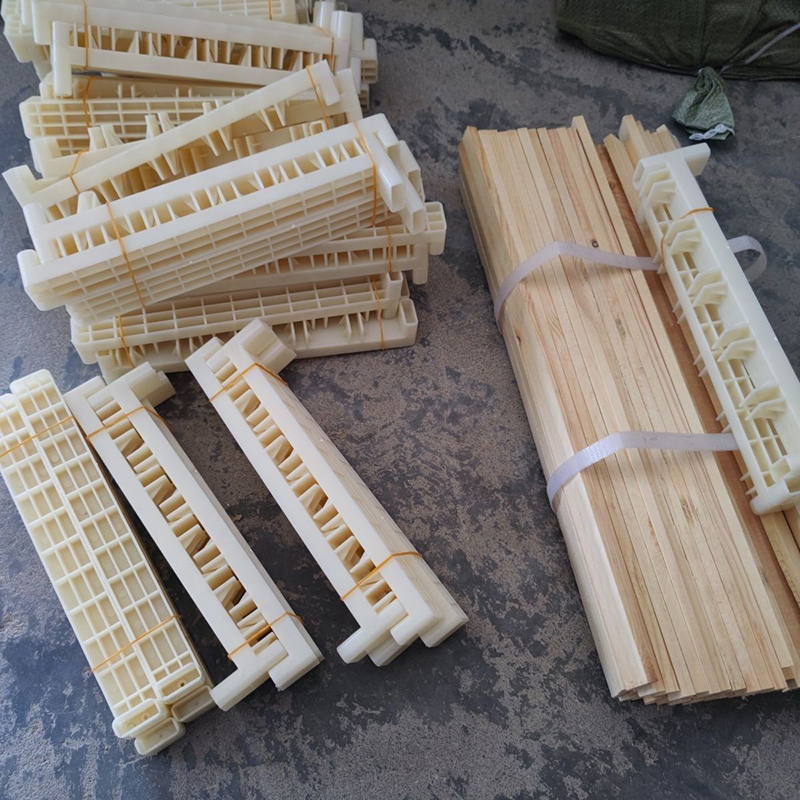 Bee Breeding Frames Plastic Ch - Begonia Rex のレビューと価格