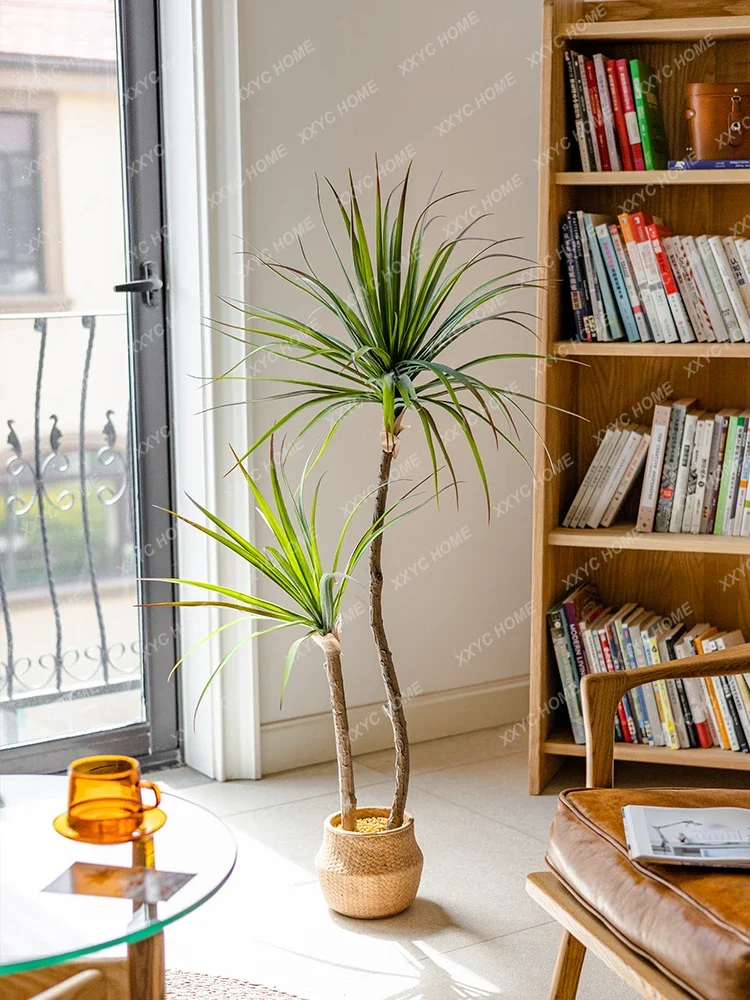 Light Luxury Simulation Green  - Dracaena Marginata のレビューと価格