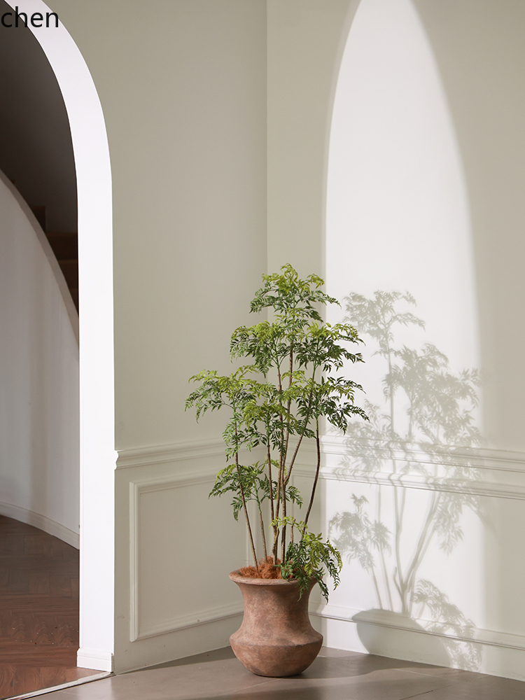 LYY  Floor Vase Green Plant Ar - Ficus Lyrata Tree のレビューと価格