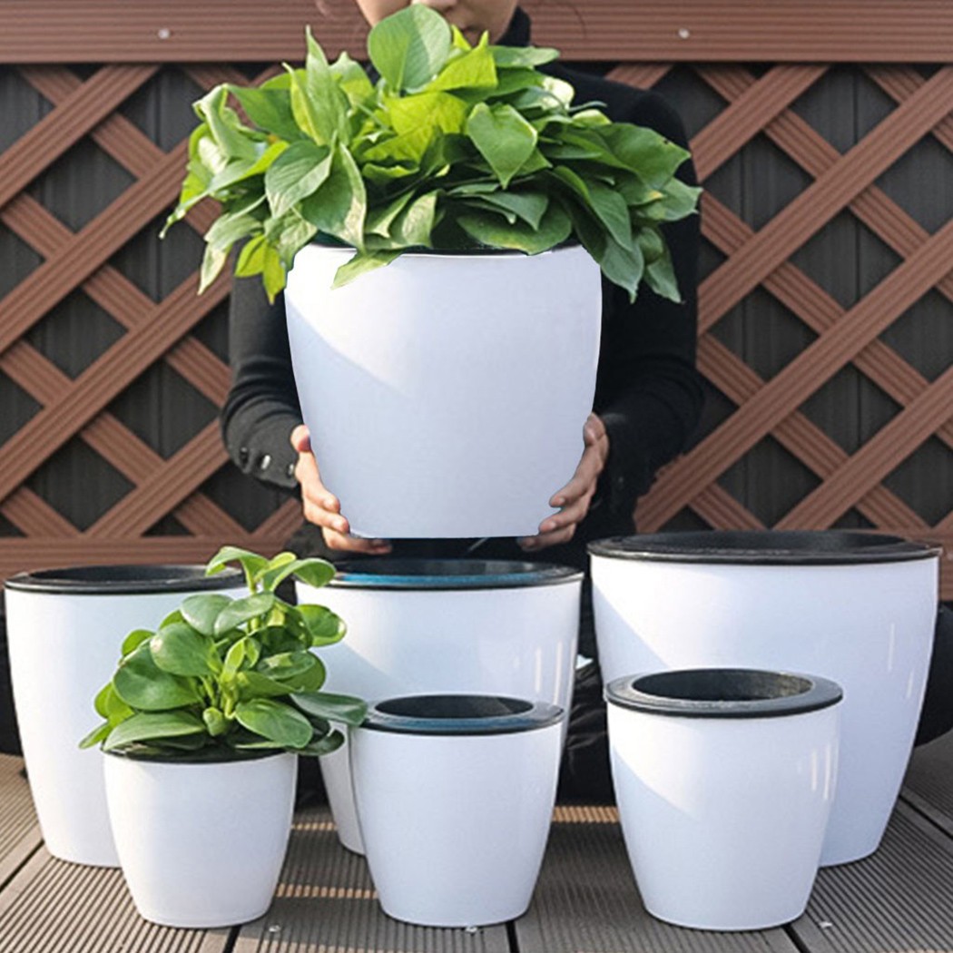 Automatic Watering Flower Plan - Aloe Vera Pot のレビューと価格