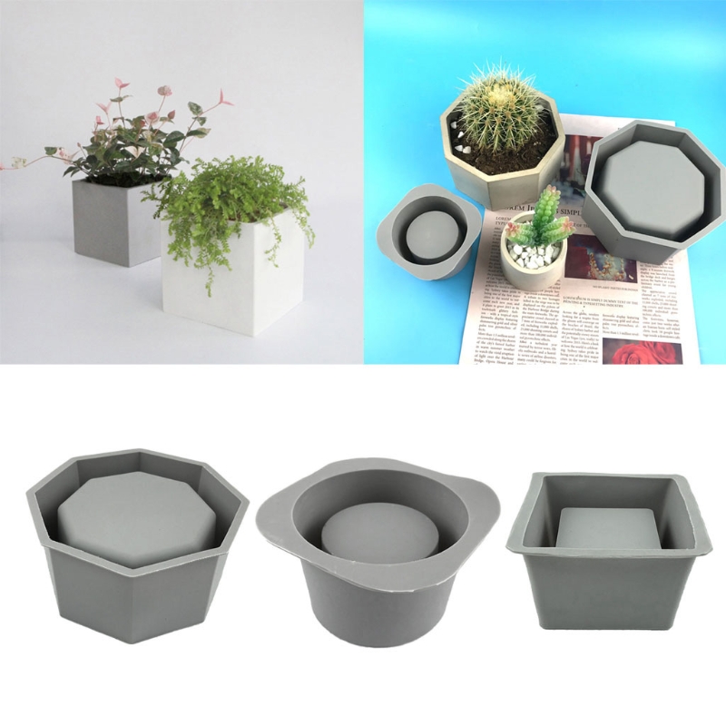 Handmade Succulent Planter Flo - Echeveria Succulent のレビューと価格