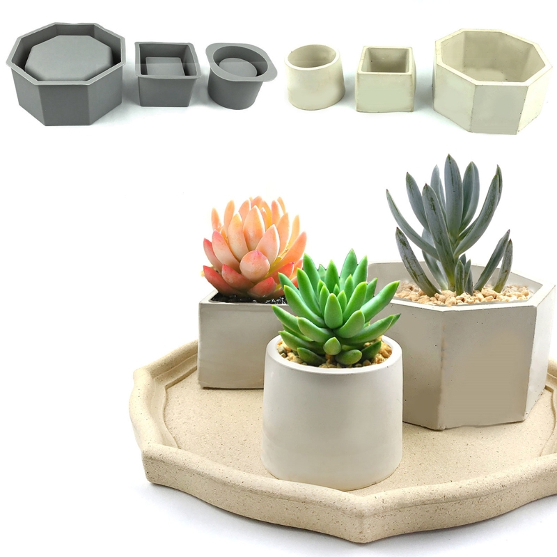Handmade Succulent Planter Flo - Echeveria Succulent のレビューと価格