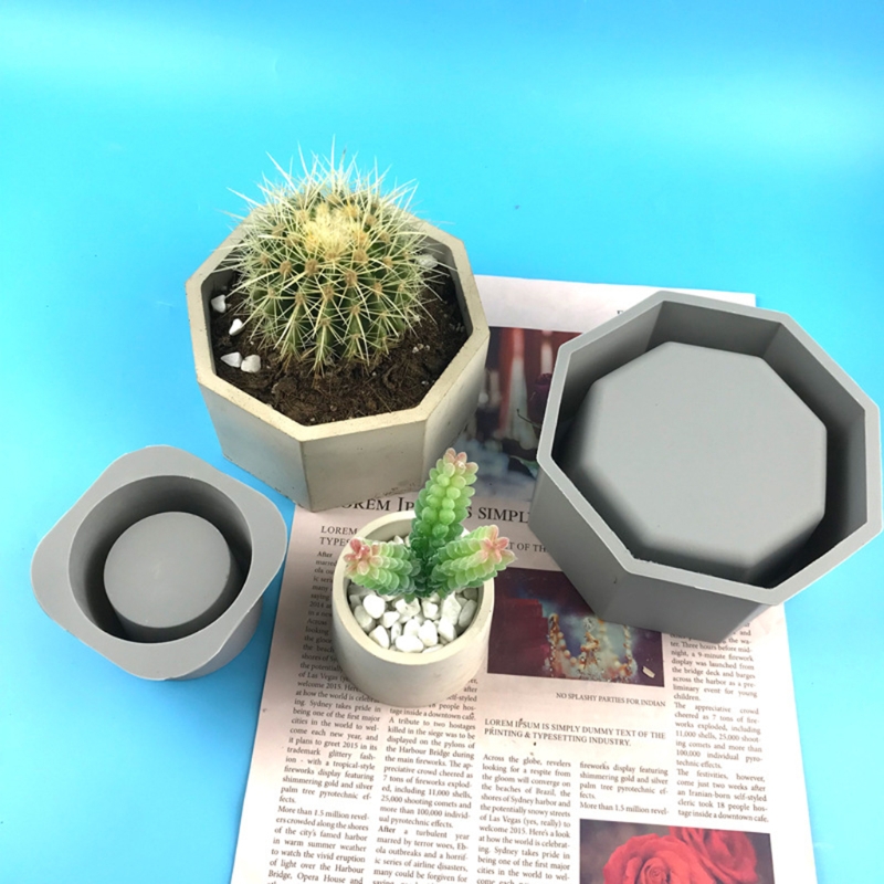 Handmade Succulent Planter Flo - Echeveria Succulent のレビューと価格