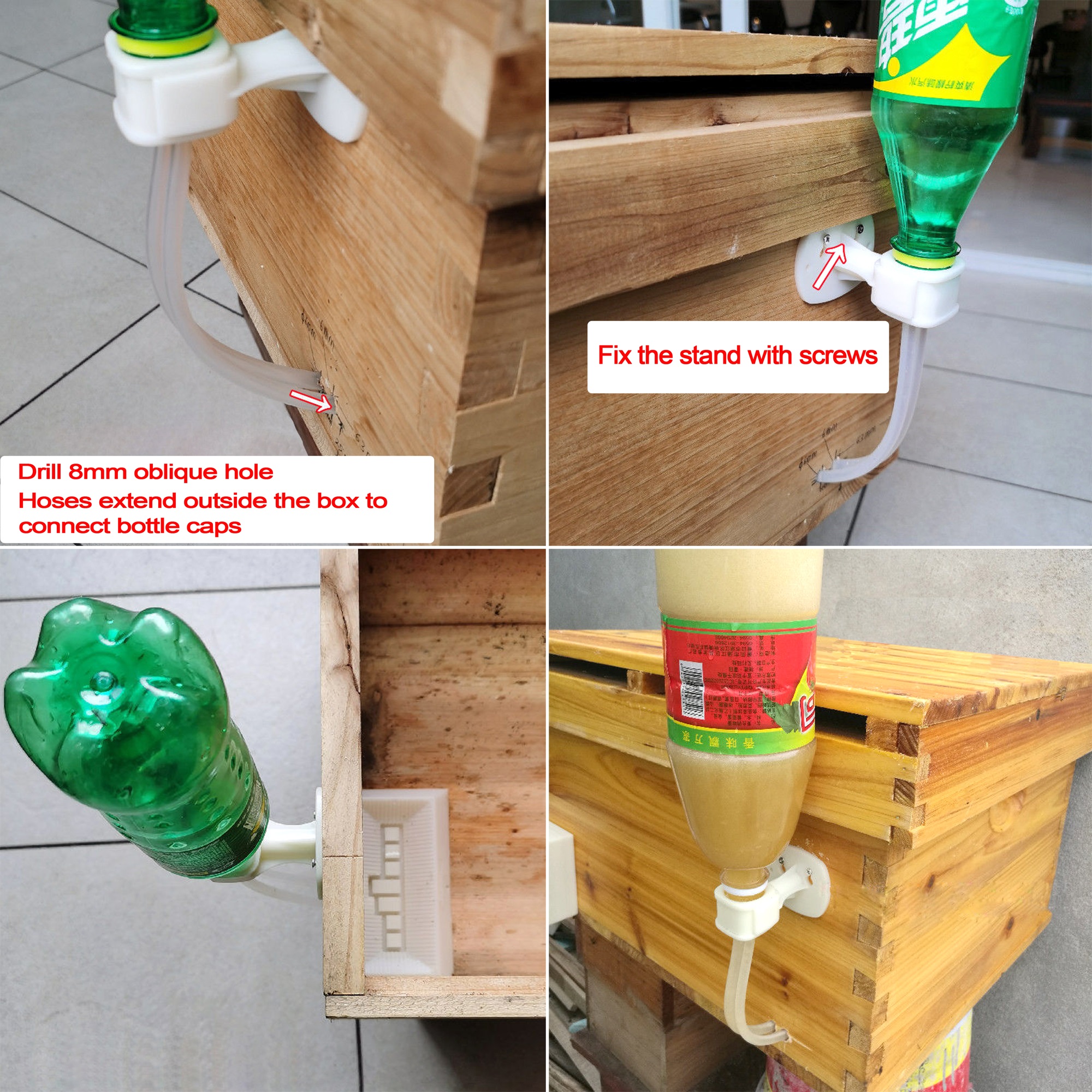 2Pcs Automatic Feeding Drinker - Begonia Rex のレビューと価格