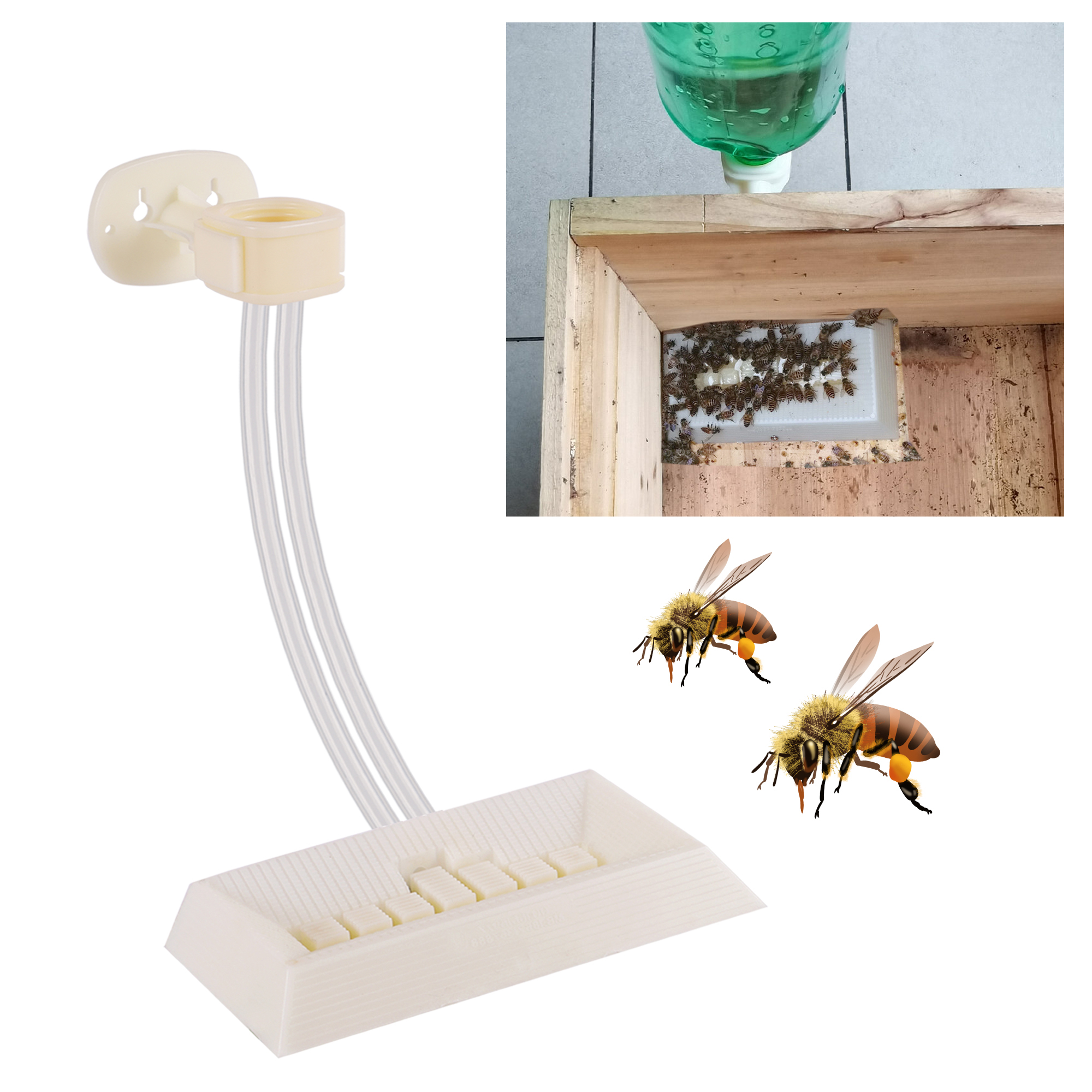 2Pcs Automatic Feeding Drinker - Begonia Rex のレビューと価格