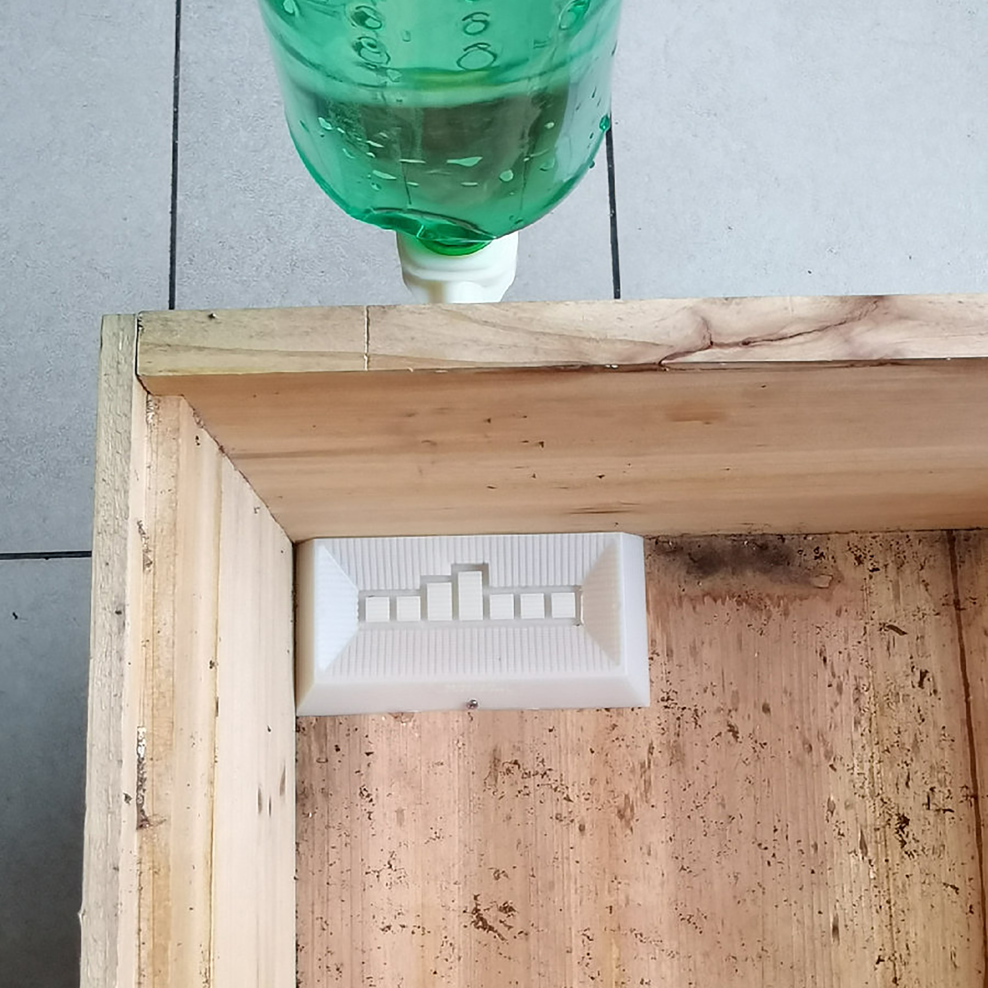 2Pcs Automatic Feeding Drinker - Begonia Rex のレビューと価格