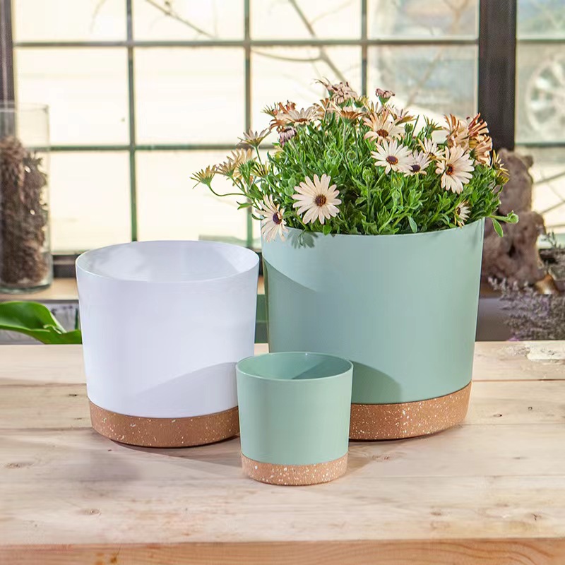 Plant POTS, lightweight large  - Pilea Peperomioides のレビューと価格