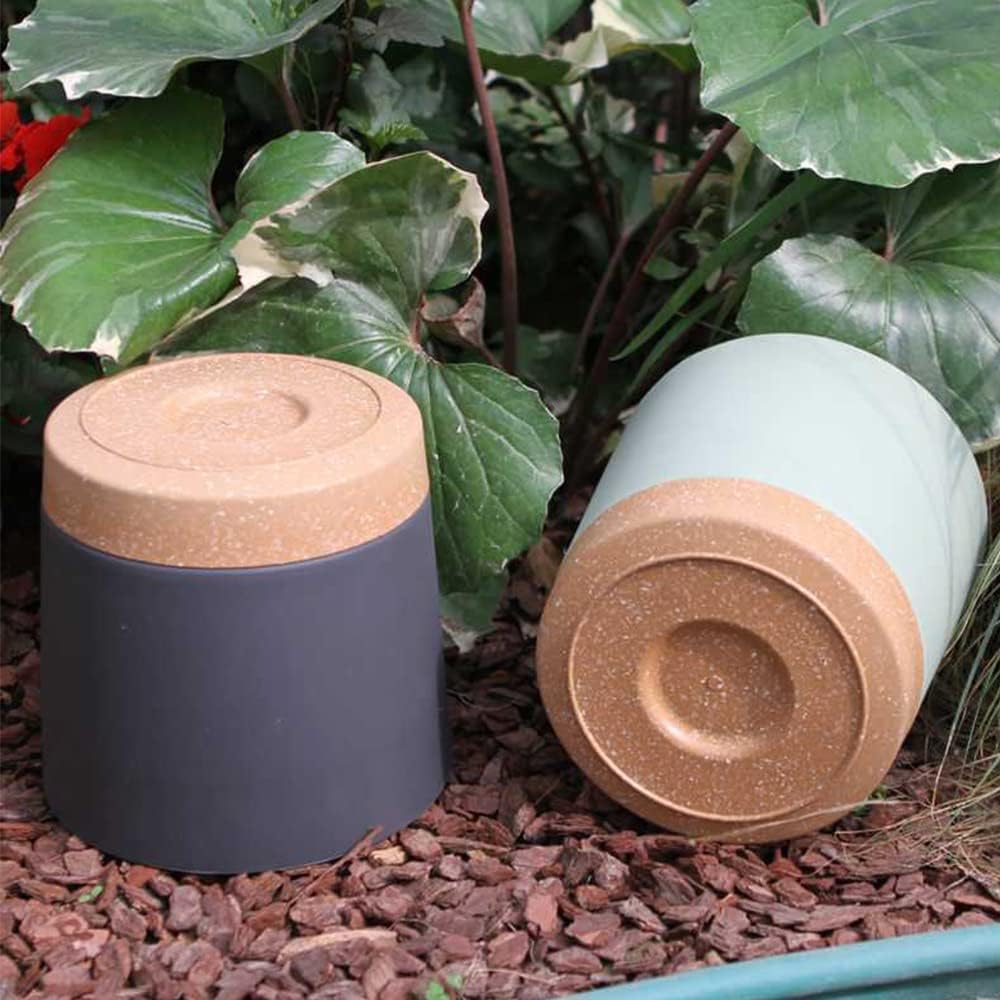 Plant POTS, lightweight large  - Pilea Peperomioides のレビューと価格