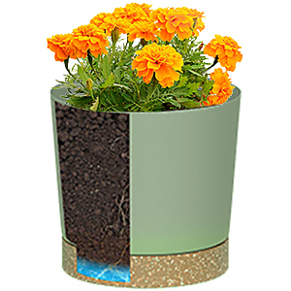 Plant POTS, lightweight large  - Pilea Peperomioides のレビューと価格