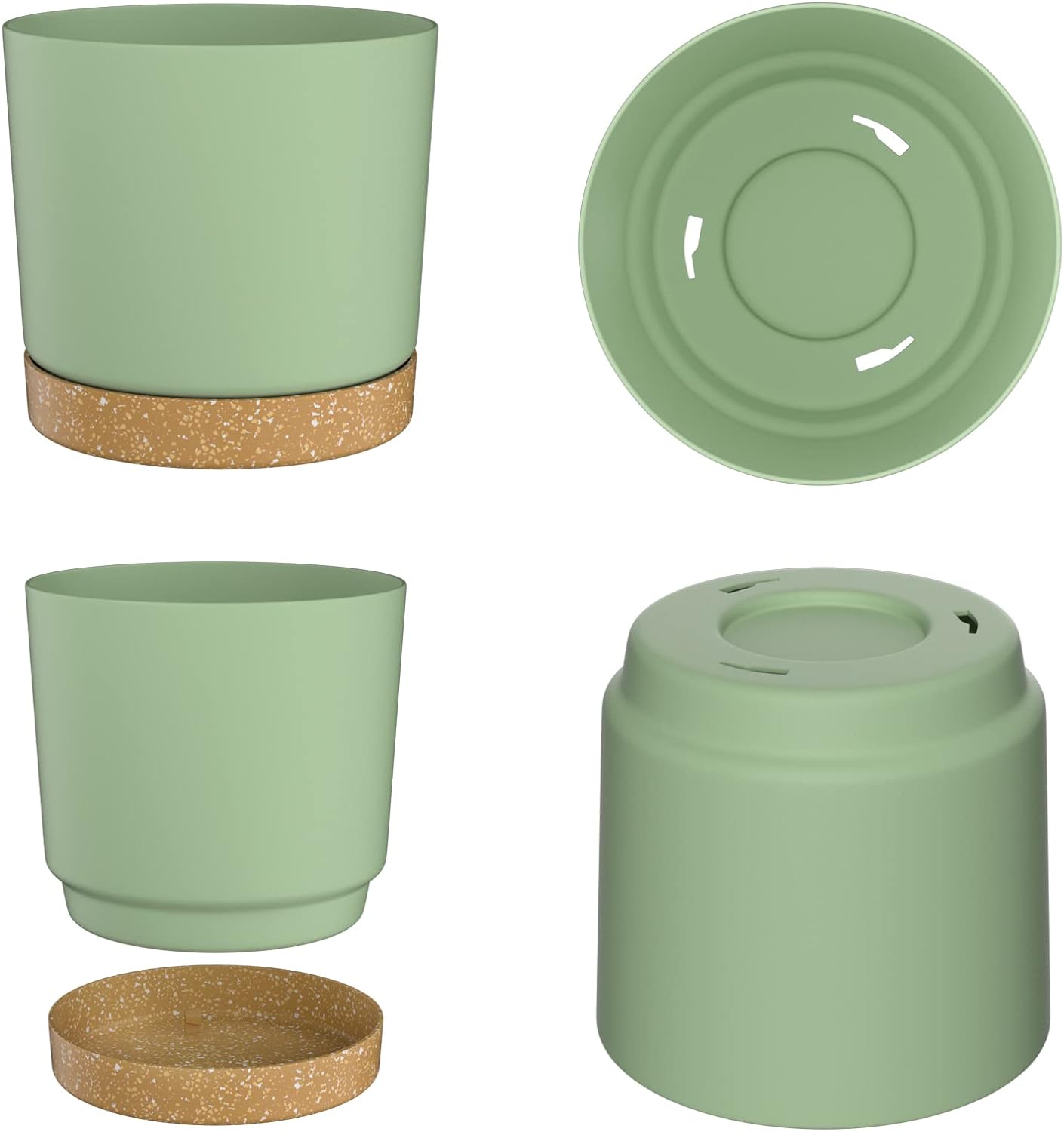 Plant POTS, lightweight large  - Pilea Peperomioides のレビューと価格
