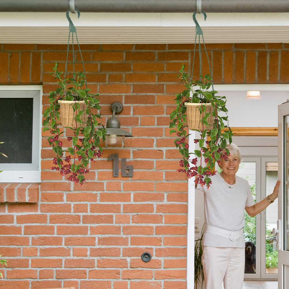 5Pcs Heavy Duty Hanging Basket - Spider Plant Hanging のレビューと価格